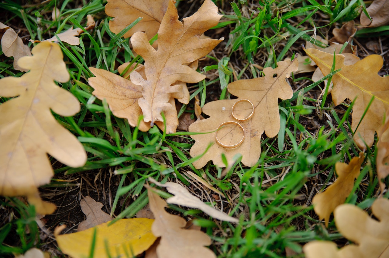 Freie Trauung Herbst